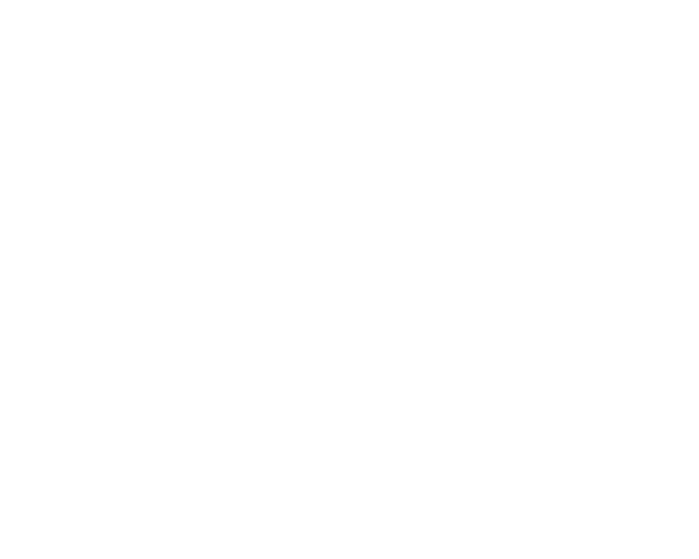 ST Bau