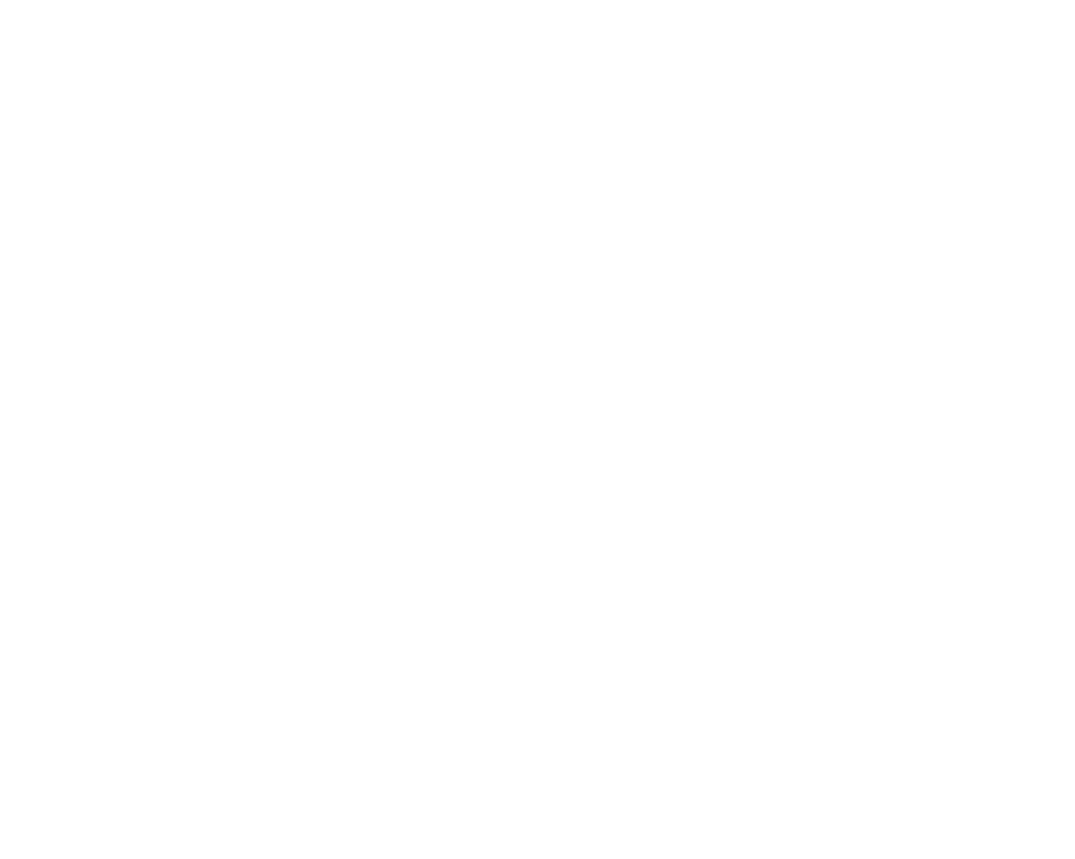 ST Bau